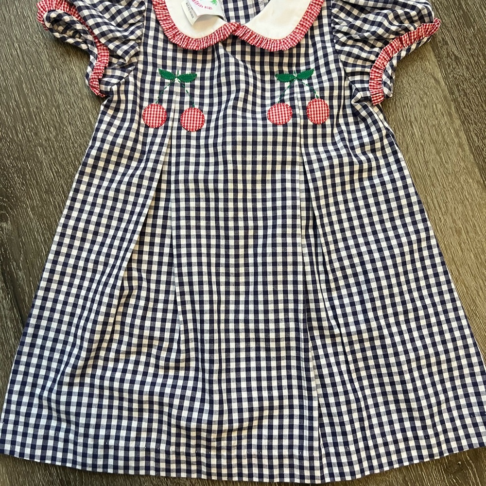 Blue Gingham Dress with Cherry Embroidery 3t shrimp and grits